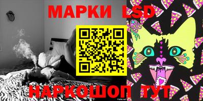 дмт Краснодар