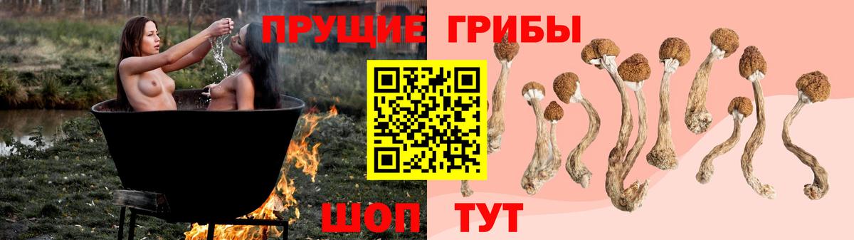хочу   Псилоцибиновые грибы Psilocybine cubensis  Вход с VPN  Элиста 